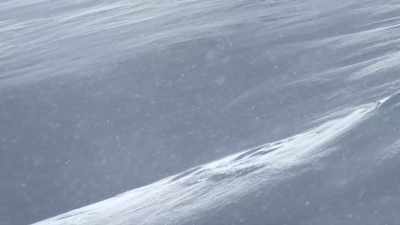 But since the last storm, - Epic Yellowstone