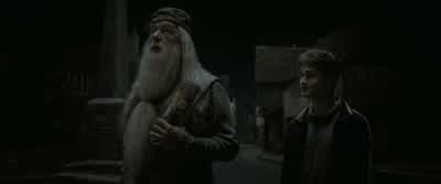 But, sir, what about Hedwig?And my trunk? - Harry Potter and the Half Blood Prince