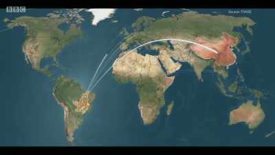 But some of it is actually
imported into the UK. - Extinction: The Facts
