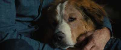 But somehow,
I knew what Ethan meant. - A Dog's Journey