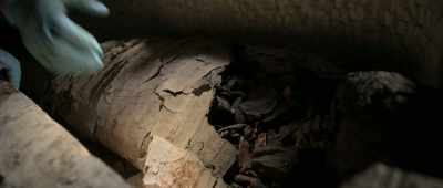 But something wrong happened,
maybe a long time ago. - Unknown: The Lost Pyramid