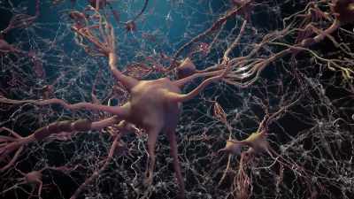 But sometimes emotions are so strong
that they overload the system… - Human: The World Within