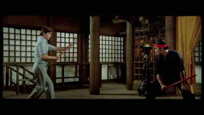 'But as soon as he uses
any offensive manoeuvre, - The Final Game of Death