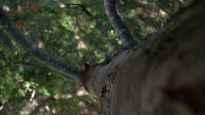 But soon, I ached for
Armando to deliver...more." - When Nature Calls with Helen Mirren