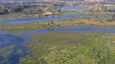 But as soon as you're up really high, - In the Footsteps of Elephant