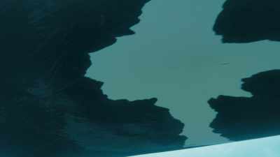 ...but we still don't know
how long they live. - Seven Worlds, One Planet