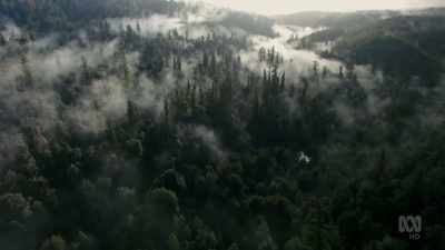 But Tasmania is a window
on a far more ancient past. - David Attenborough's Tasmania
