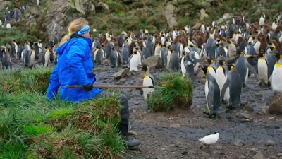 'But thanks
to a pioneering new project, - A Year on Planet Earth