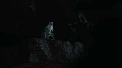 But that's because
those scientists haven't seen - His Dark Materials