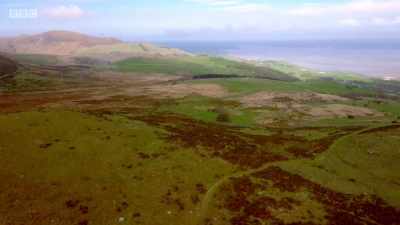 But the 300 ponies that live here - Wales: Land of the Wild