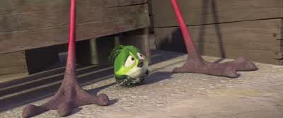 Birds versus monkeys - Rio