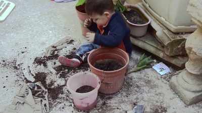 But if the body doesn't get exposed
to enough germs, - Human: The World Within