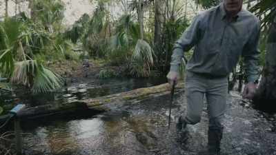 But the camera trap, - Path of the Panther