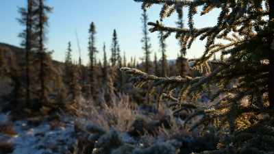 But as the
challenges face me, - Life Below Zero: Next Generation