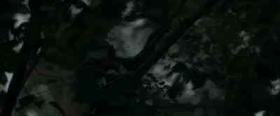 But the chimp's
innate sense of time - Our Universe
