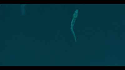 But the clearest
thing I saw, - Jett