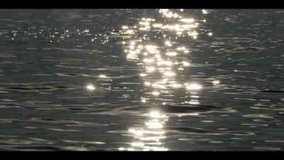 But the climate crisis
has turned ice into open water. - Our Oceans