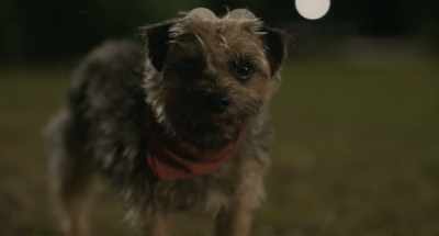 But the closer we got to Doug, - Strays