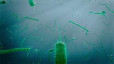But the cyanobacteria shared
the planet with other beings: - Cosmos: Possible Worlds