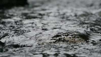 But the determination was
hypothermia that killed her. - Missing 411: The Hunted