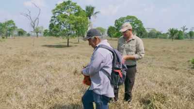 BUT THE DISCOVERY
OF SPECIAL PIECES - Lost Cities of the Amazon
