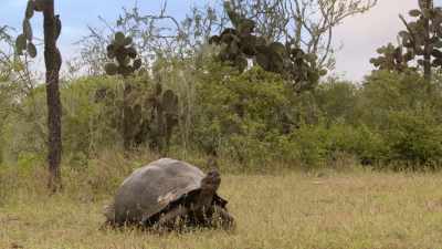 But the dry season
is fast approaching. - The Secret Lives of Animals