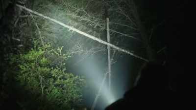 But the fact that we have now
seen it several times - Expedition Bigfoot