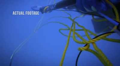 But the faster he retreats, - Shark Attack Files