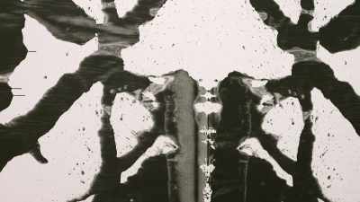 But the first ones were the Shadows, - The Andy Warhol Diaries