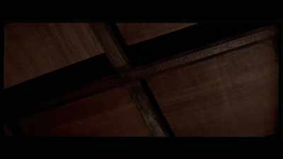 'But the honest expression
doesn't come from the premise, - The Final Game of Death
