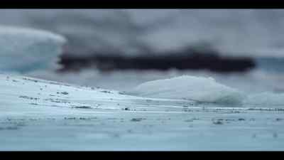 But the hunt - Our Oceans
