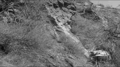 But the killer's
not on the plateau. - The Beast of Yucca Flats