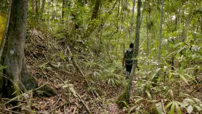 But the LiDAR data reveals
I'm walking right next to it. - Lost Treasures of the Maya