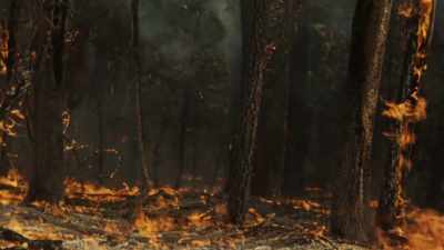 But the mass fires,
the fire storms that we've seen, - Bring Your Own Brigade