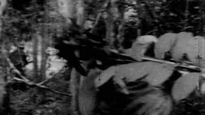 But the news reports - Days of Rage: The Rolling Stones' Road to Altamont
