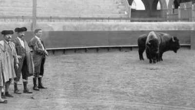 But the provincial governor
called off the spectacle, - The American Buffalo
