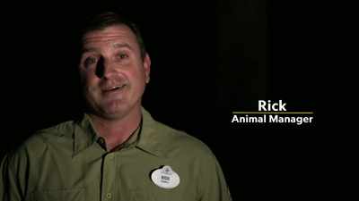But the reason why I'm out here
is that it also has to be enjoyable - Magic of Disney's Animal Kingdom