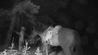  But for the rest
 of the night, - Expedition Bigfoot