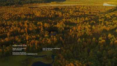 But the test really began in autumn. - Wild Nordic