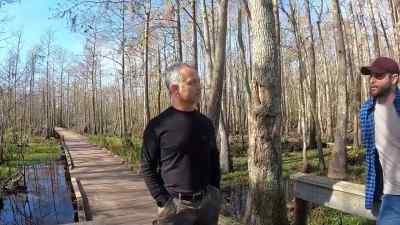 But the thing
that I've loved seeing most, - American Highway