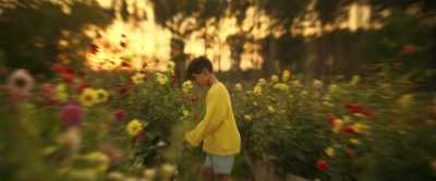 But the truth was much darker. - Winnie-the-Pooh: Blood and Honey 2