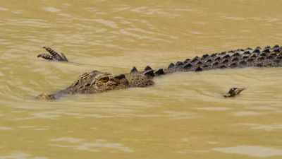 But the water's so churned up,
he can't see the fish. - Our Great National Parks