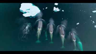 But the wave hunters - Our Oceans