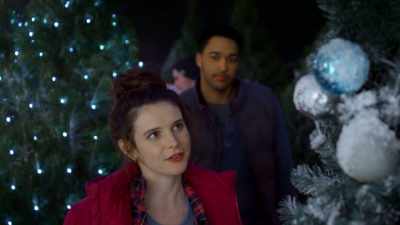 But the work is important to me - The Dog Days of Christmas