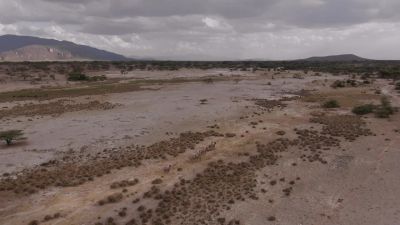 But the youngsters must learn - Chasing the Rains