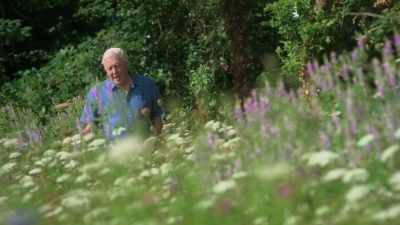 But their purpose is not
to appeal to US, - Attenborough's Life in Colour