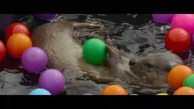 But then I see how
happy she is when she's playing. - Billy & Molly: An Otter Love Story