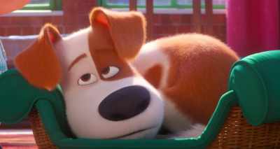 But then, one day, - The Secret Life of Pets 2