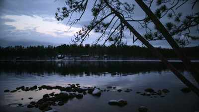 But there was a rift
that came between everybody. - Bob Ross: Happy Accidents, Betrayal & Greed