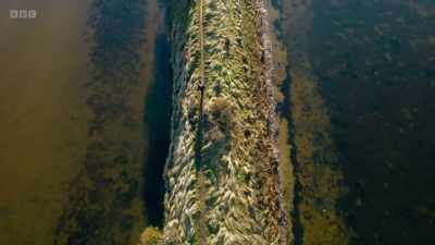 But there are landscapes
here on our planet - Secrets of Size: Atoms to Supergalaxies